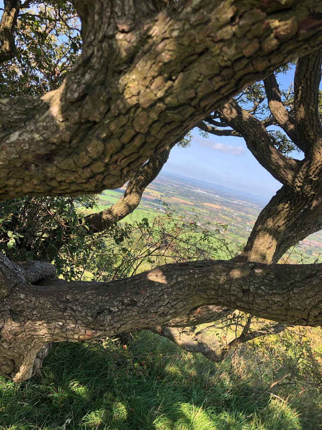 bredon hill country 