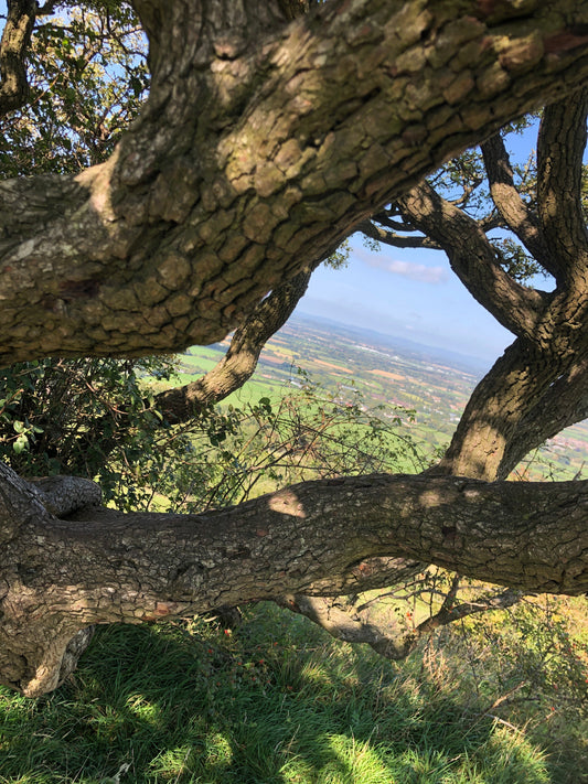 bredon hill country 